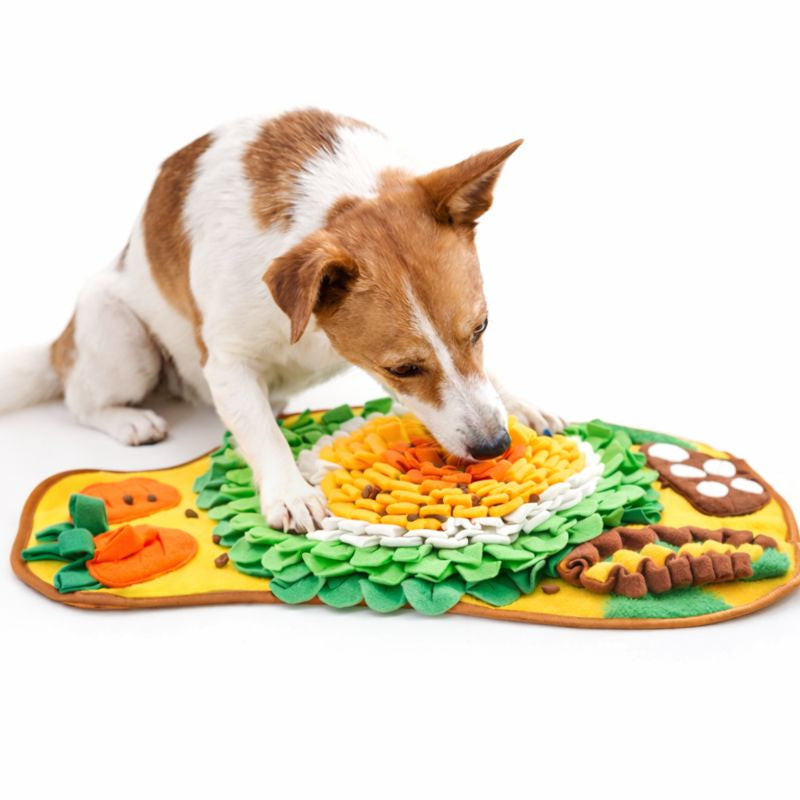 Small dog sniffing treats in the colorful Truffle snuffle dog mat
