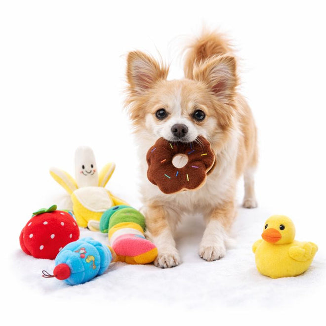 Chihuahua carrying a plush donut from the Picnic Puppy Plush Toy Set on a white background