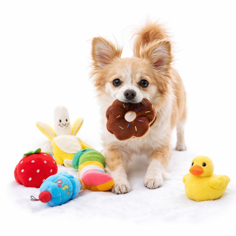 Chihuahua carrying a plush donut from the Picnic Puppy Plush Toy Set on a white background