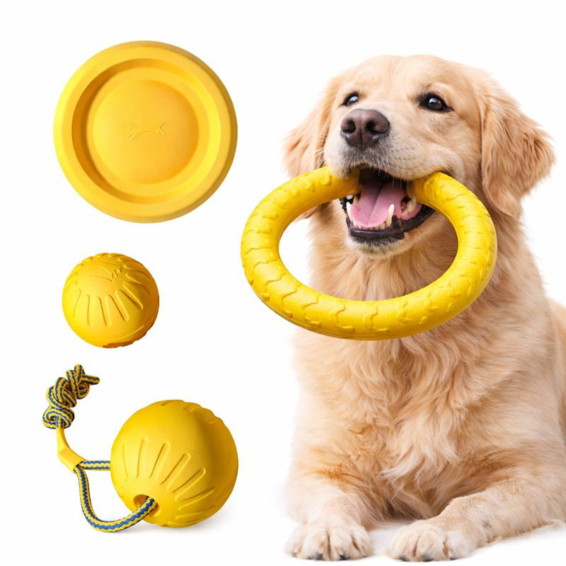 Dog with the Romp yellow EVA ring dog toy
