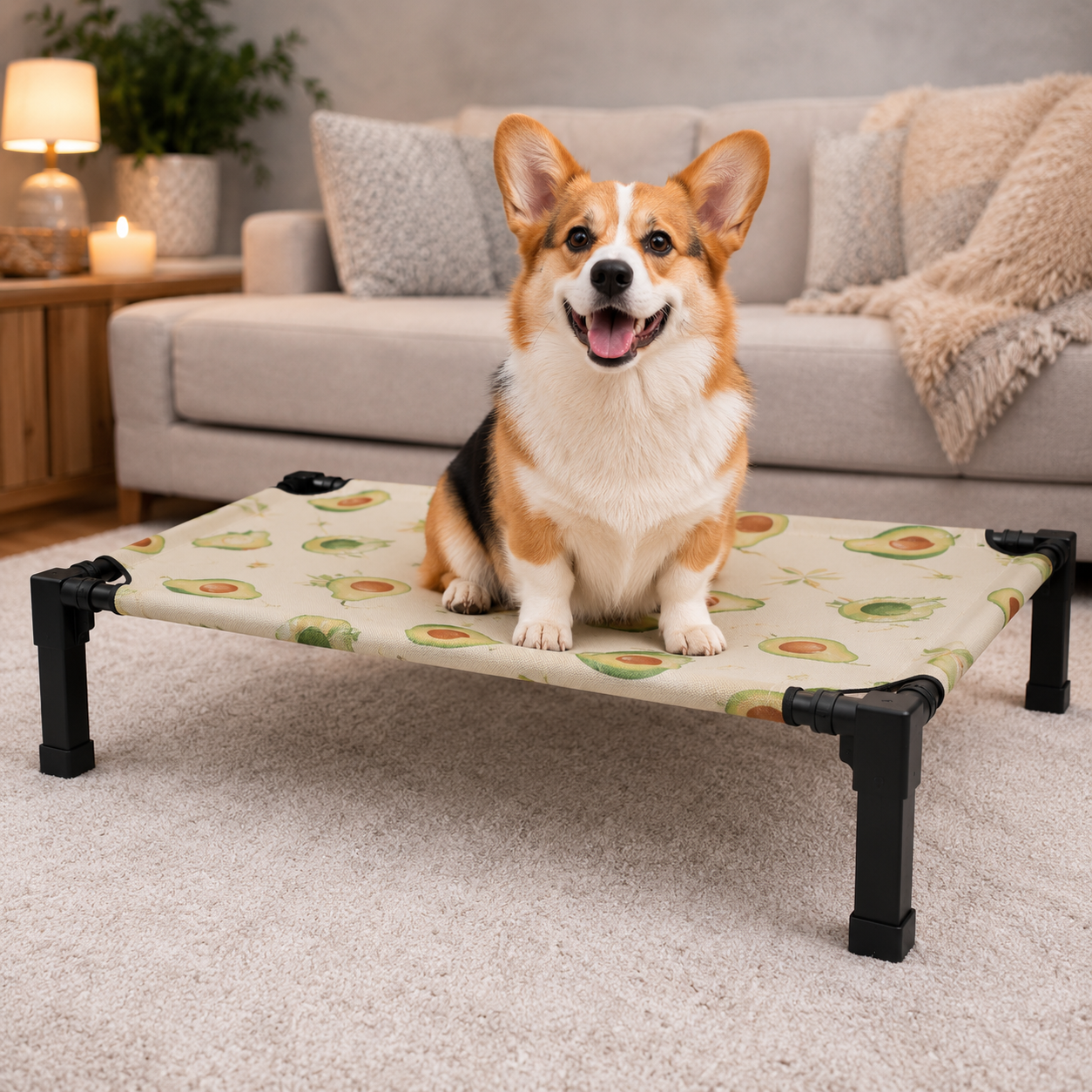 Corgi on the avocado-print Perch elevated cooling dog bed