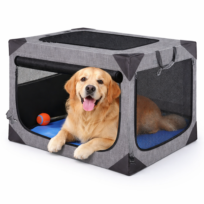 Golden retriever resting in the Nuzzinel Den travel dog crate