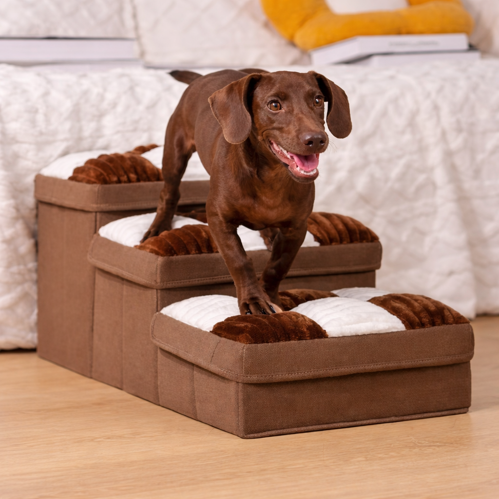 Dog beside the brown Rook checkered dog stairs with storage