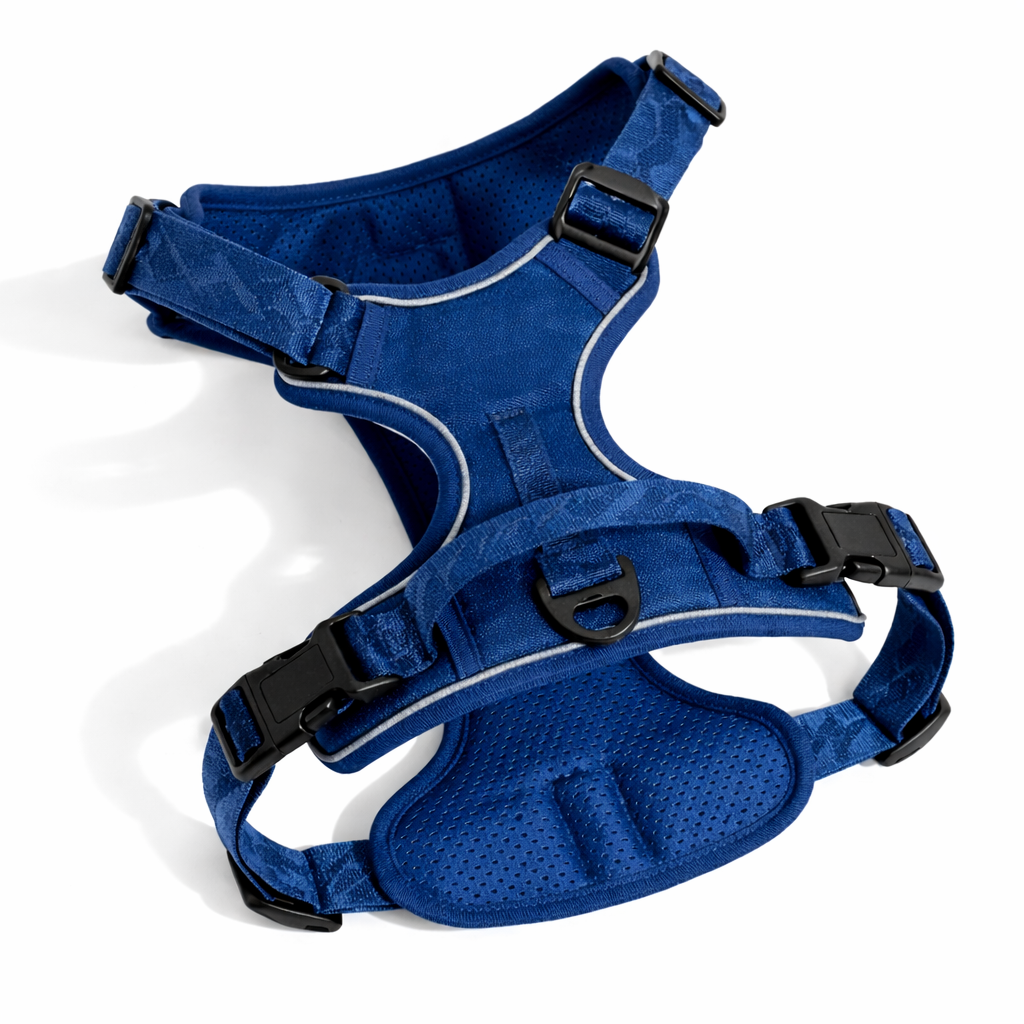 Blue Beacon Reflective Dog Harness with 3M reflective straps and top handle