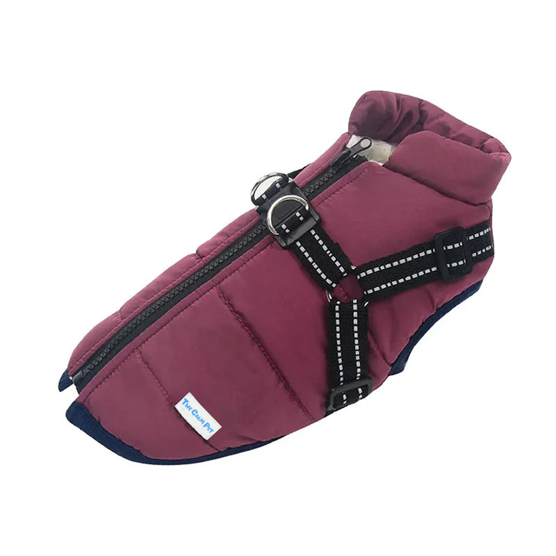 Aspen Waterproof Winter Dog Coat in Purple with built-in harness