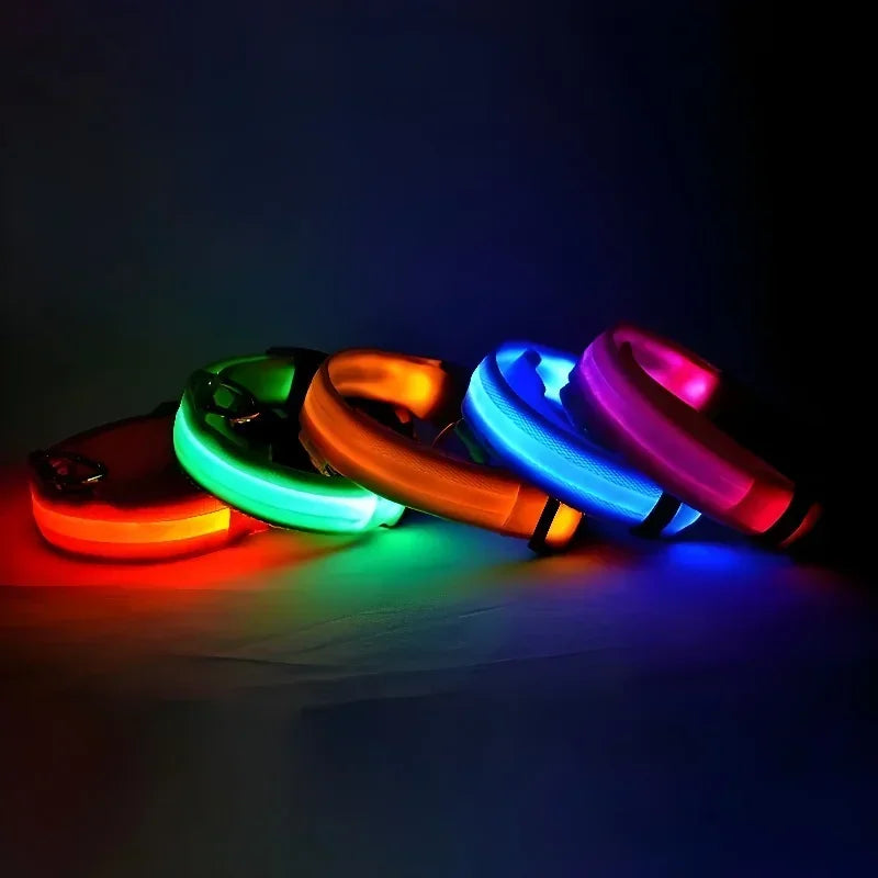 Glimmer LED dog collars glowing in the dark
