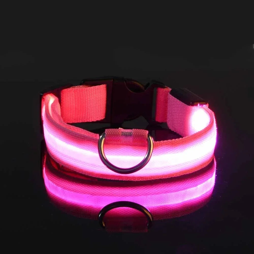Close-up of the Glimmer LED dog collar glowing