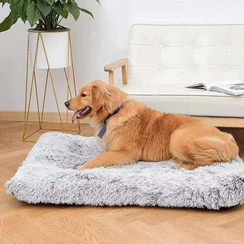 Golden retriever on the Nook calming dog sofa bed