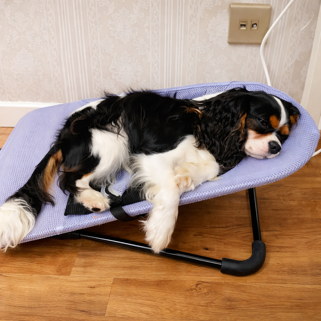 Their calmest naps yet