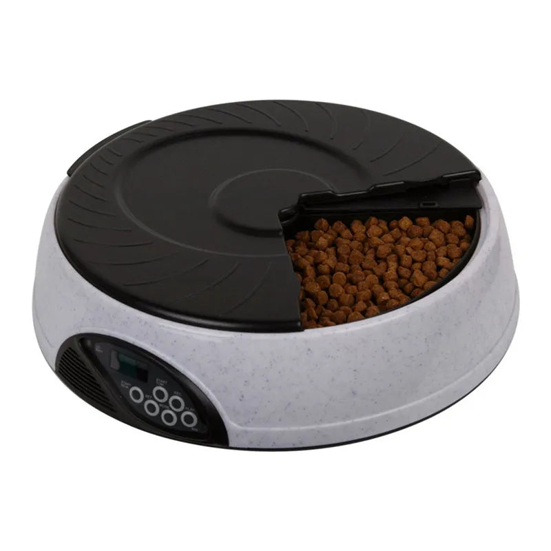 Butler automatic dog feeder in Grey