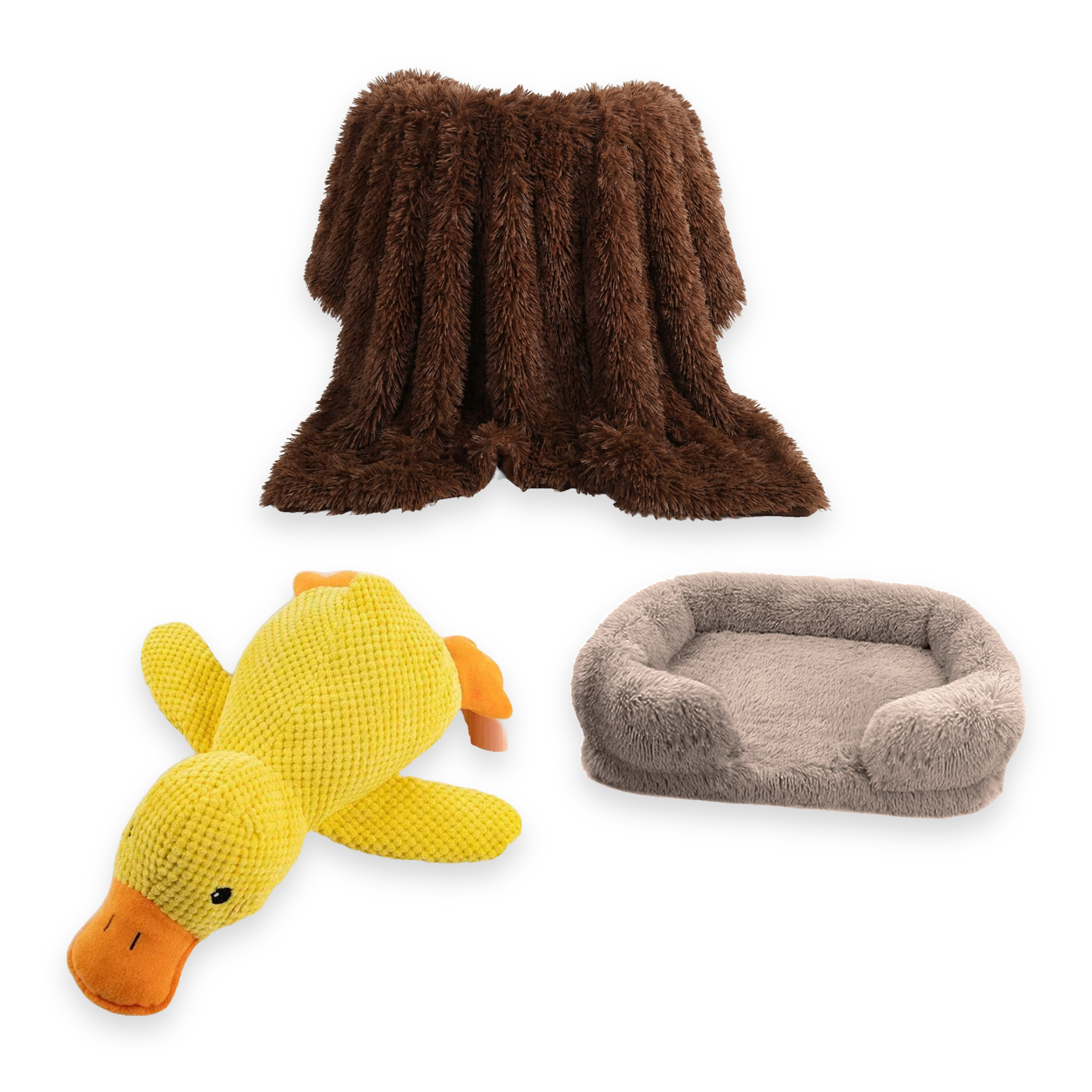 Biscuit Bliss Set — all 3 items