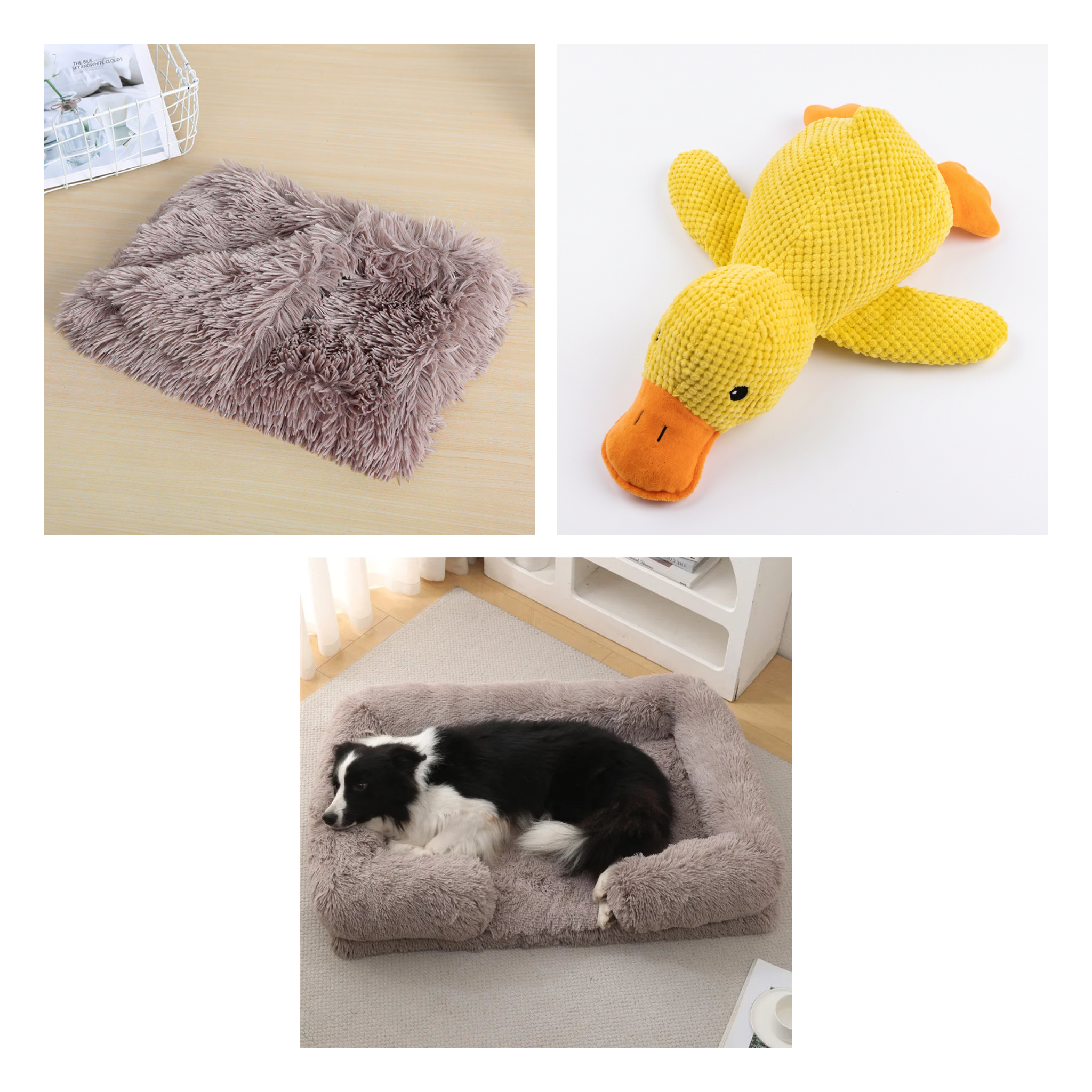 Biscuit Bliss Set — all 3 items