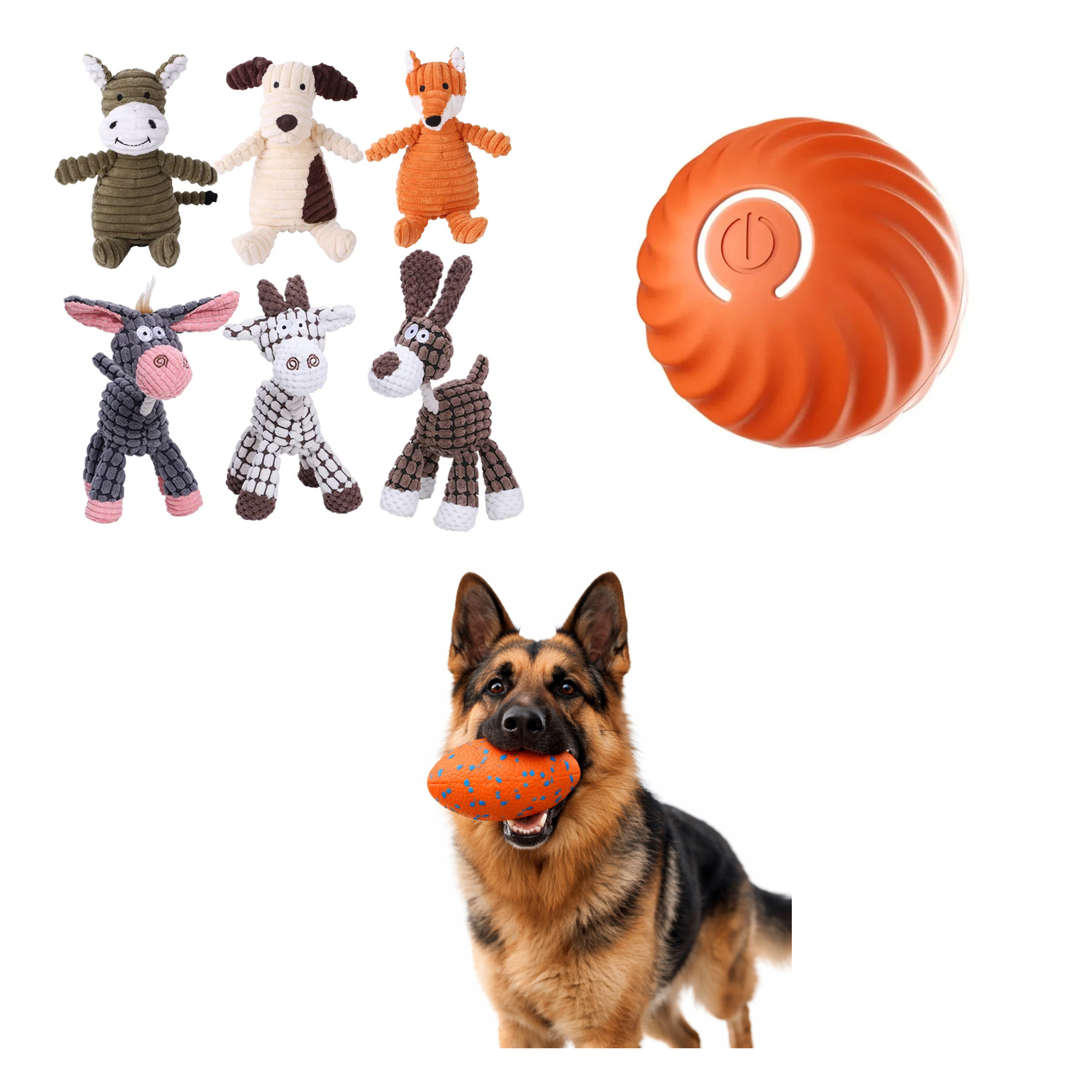 Fetch & Float Bundle — all 3 items