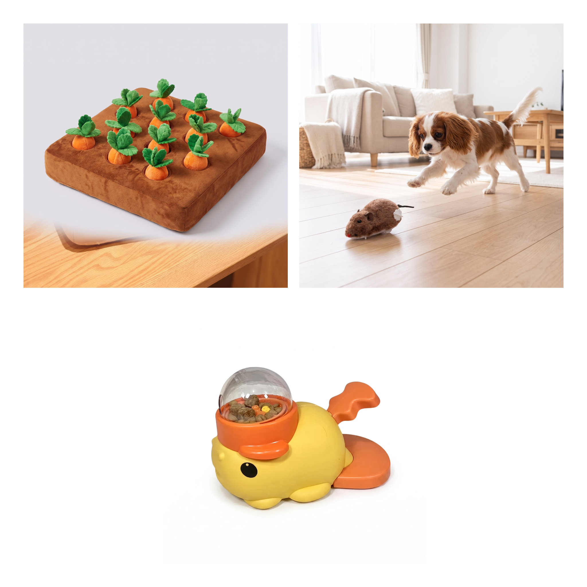 Enrichment Deluxe Set — all 3 items