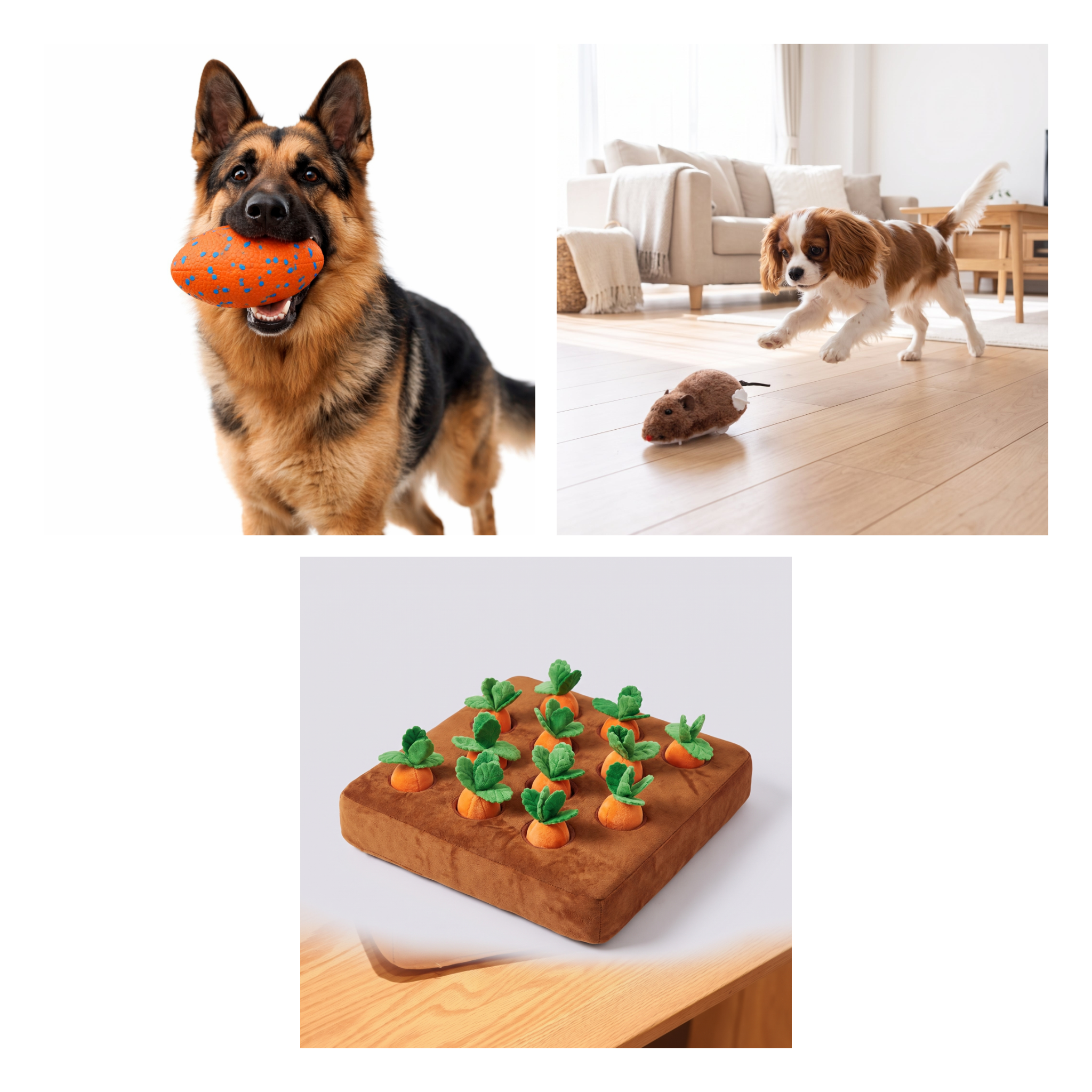 All-Star Variety Play Set — all 3 items