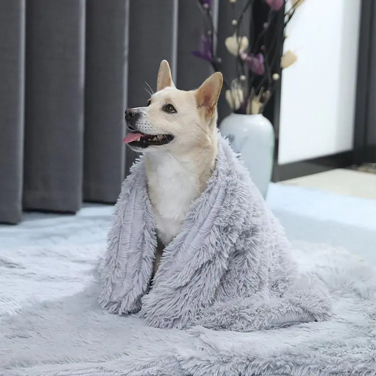Puff Fluffy Plush Dog Blanket