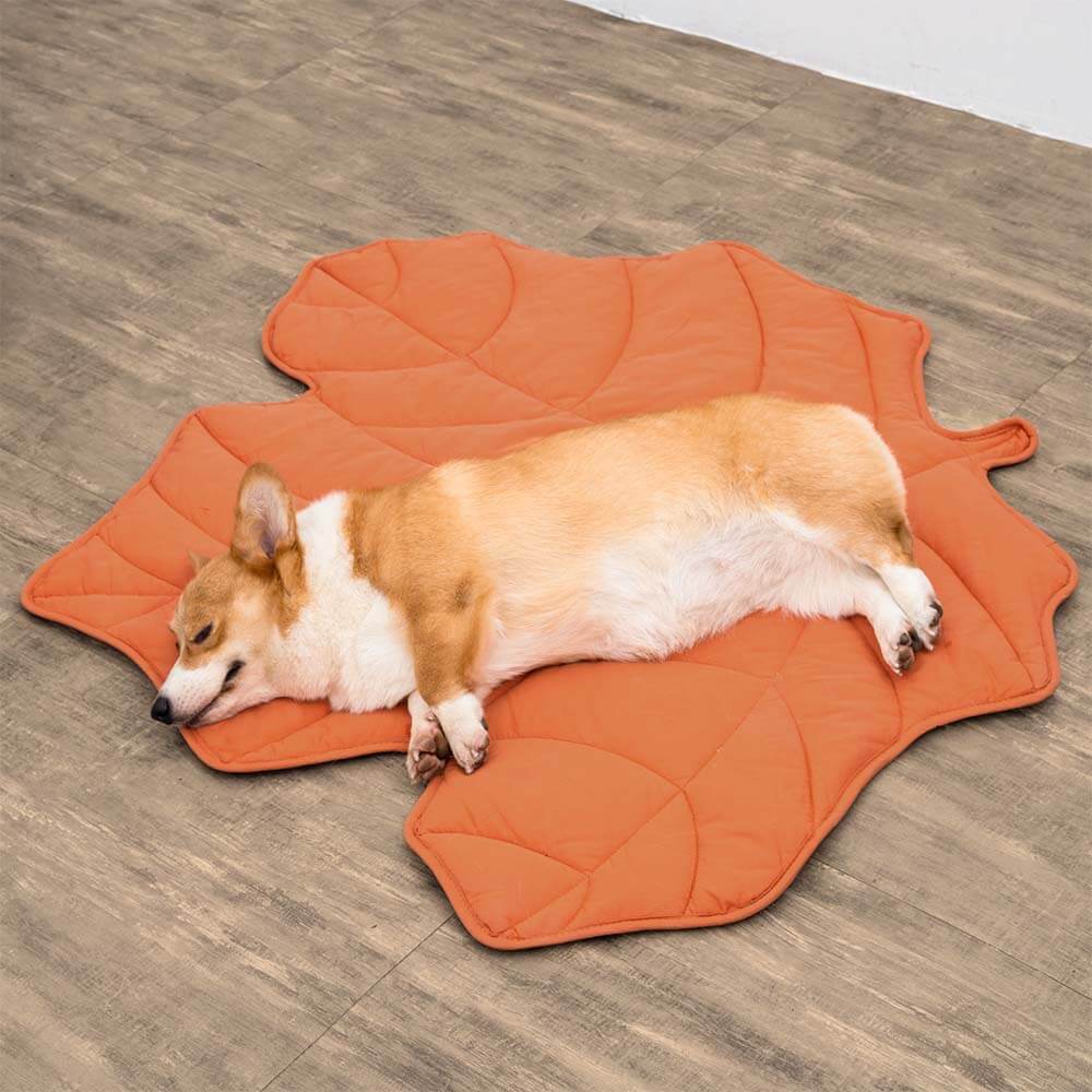 Corgi on a Fern Maple Orange leaf-shaped dog mat