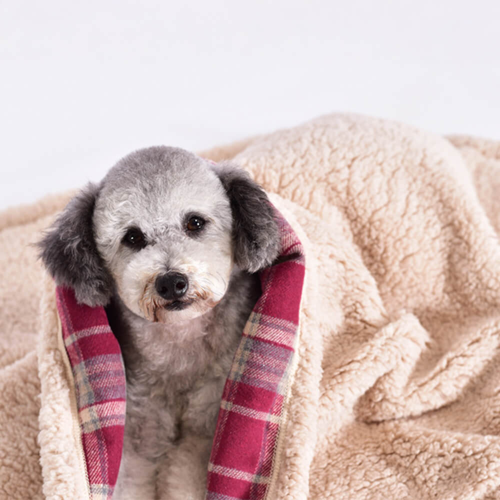 Dog wrapped in a Rowan red plaid sherpa dog blanket