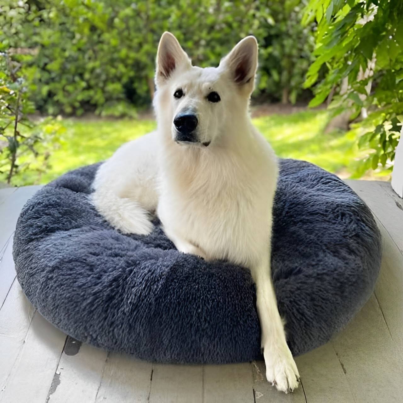 Dark grey Nuzzinel Snooze calming donut dog bed with a dog resting in it