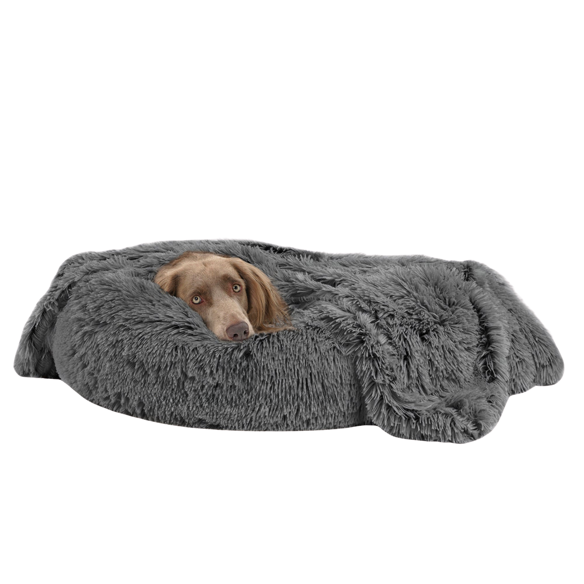 Dog resting on a charcoal faux-fur calming dog blanket