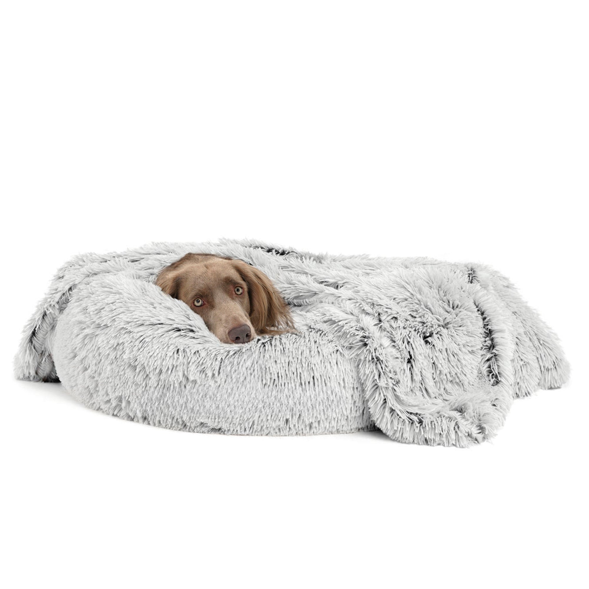 Dog resting on a frost faux-fur calming dog blanket