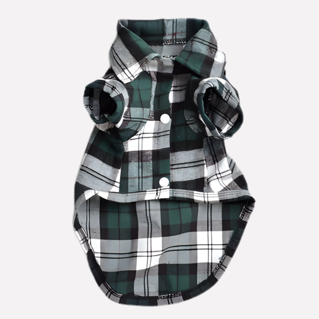 Green plaid button-down dog shirt