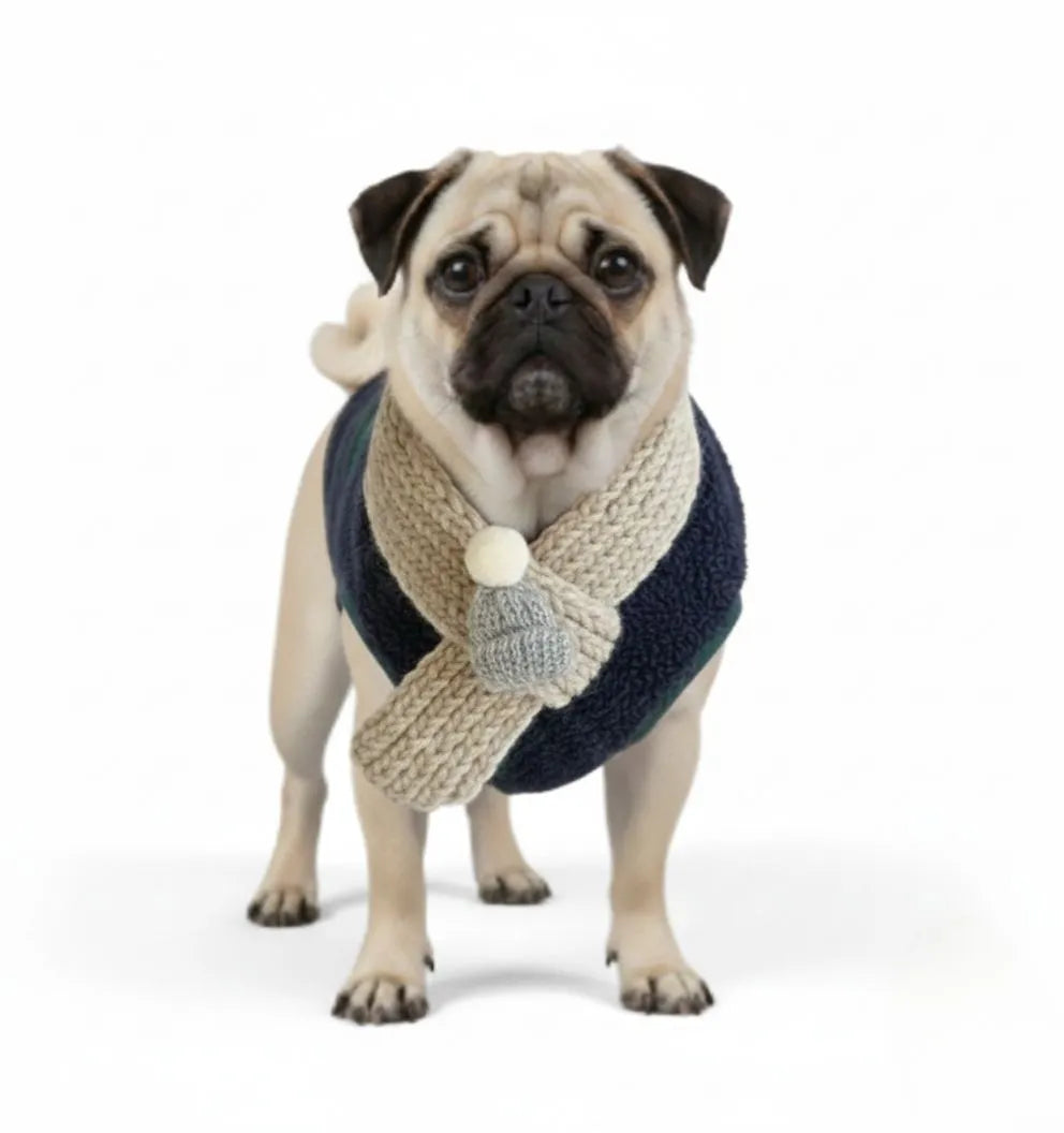 Small dog wearing a navy plaid fleece winter coat with a cream pom-pom scarf