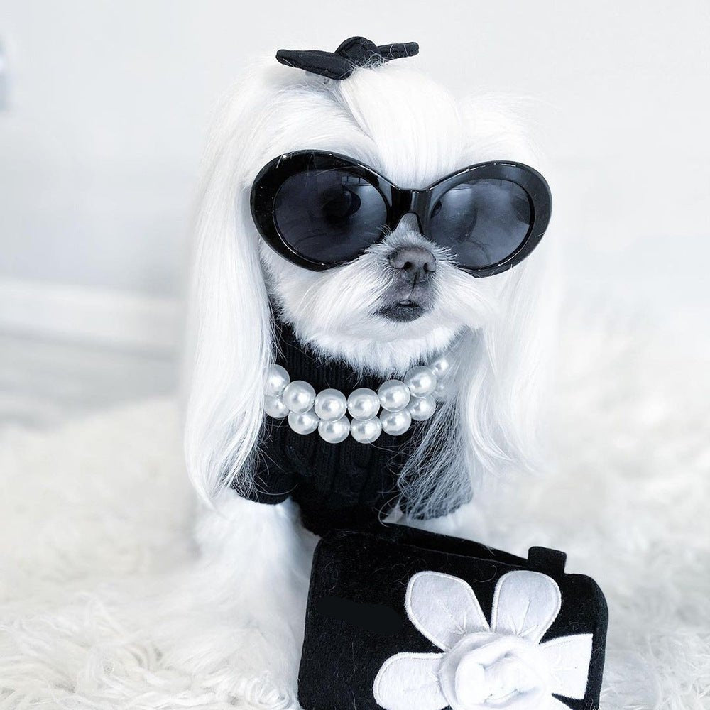 Maltese wearing the Coco white pearl dog necklace
