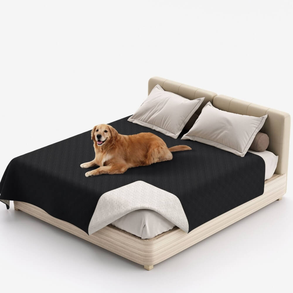 Haven Water-Resistant Furniture Protector — Black