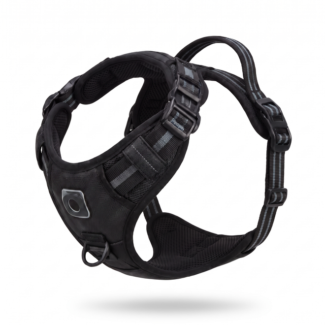 Snug no-pull dog harness in Black