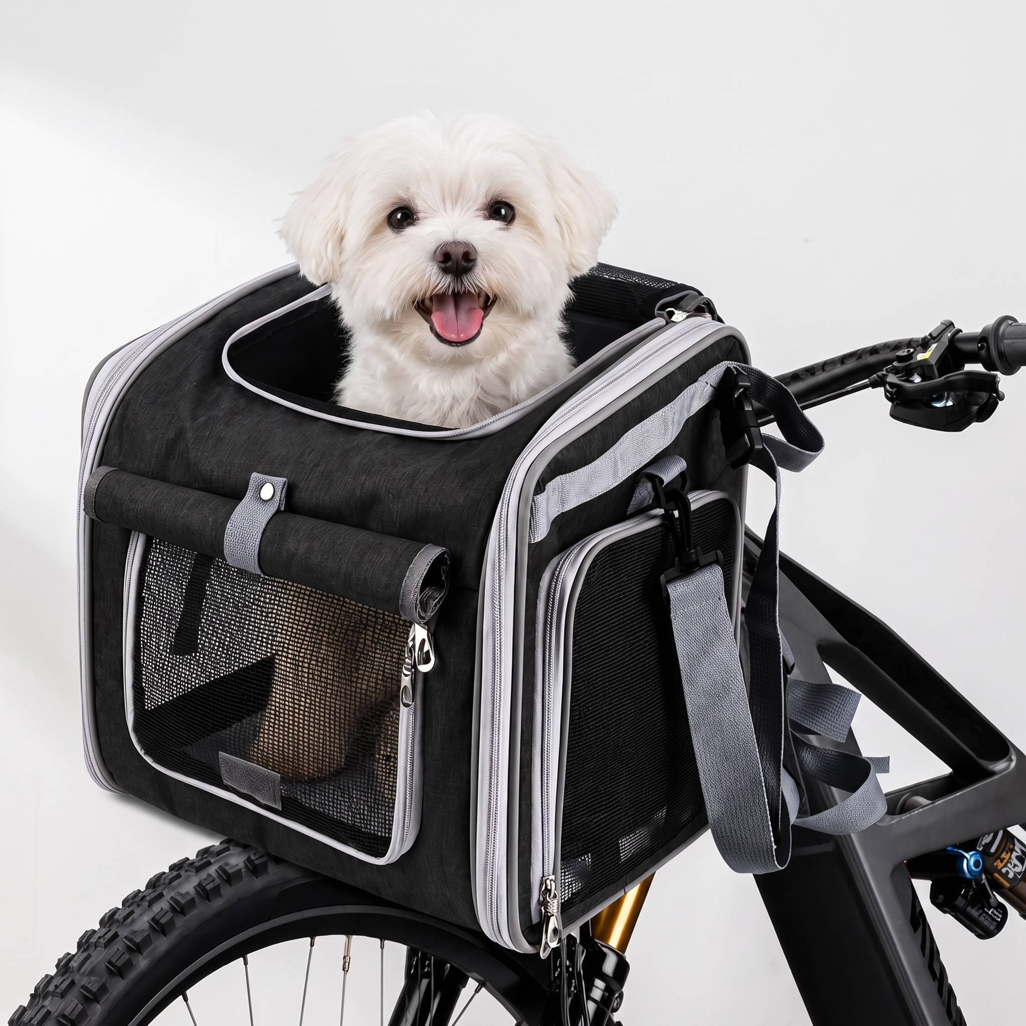 Small dog riding in the Cruiser dog bike basket carrier