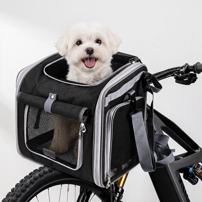 Small dog riding in the Cruiser dog bike basket carrier