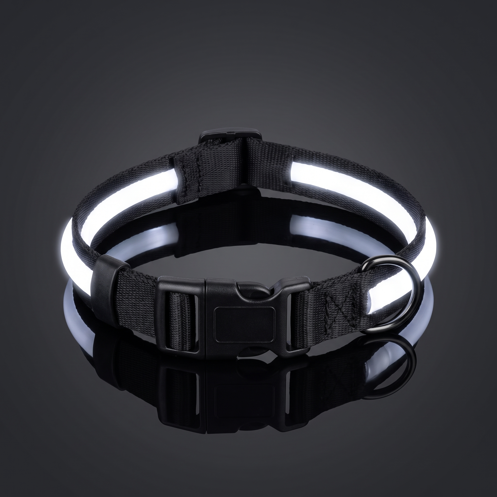 Glimmer LED dog collar glowing white (black strap)