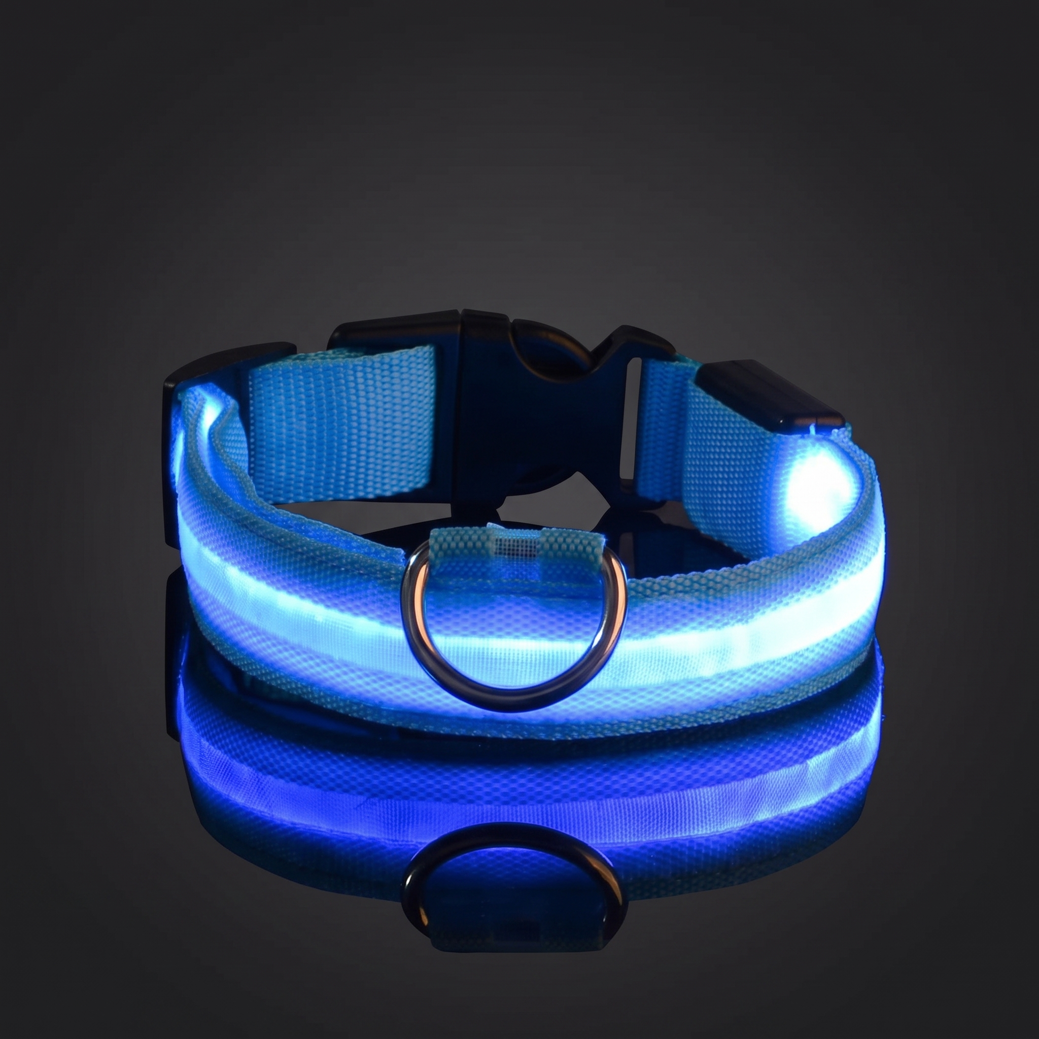 Glimmer LED dog collar glowing blue
