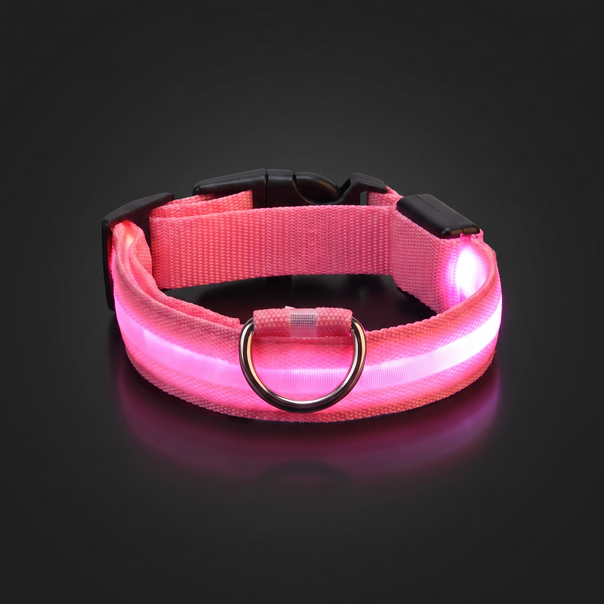 Glimmer LED dog collar glowing pink