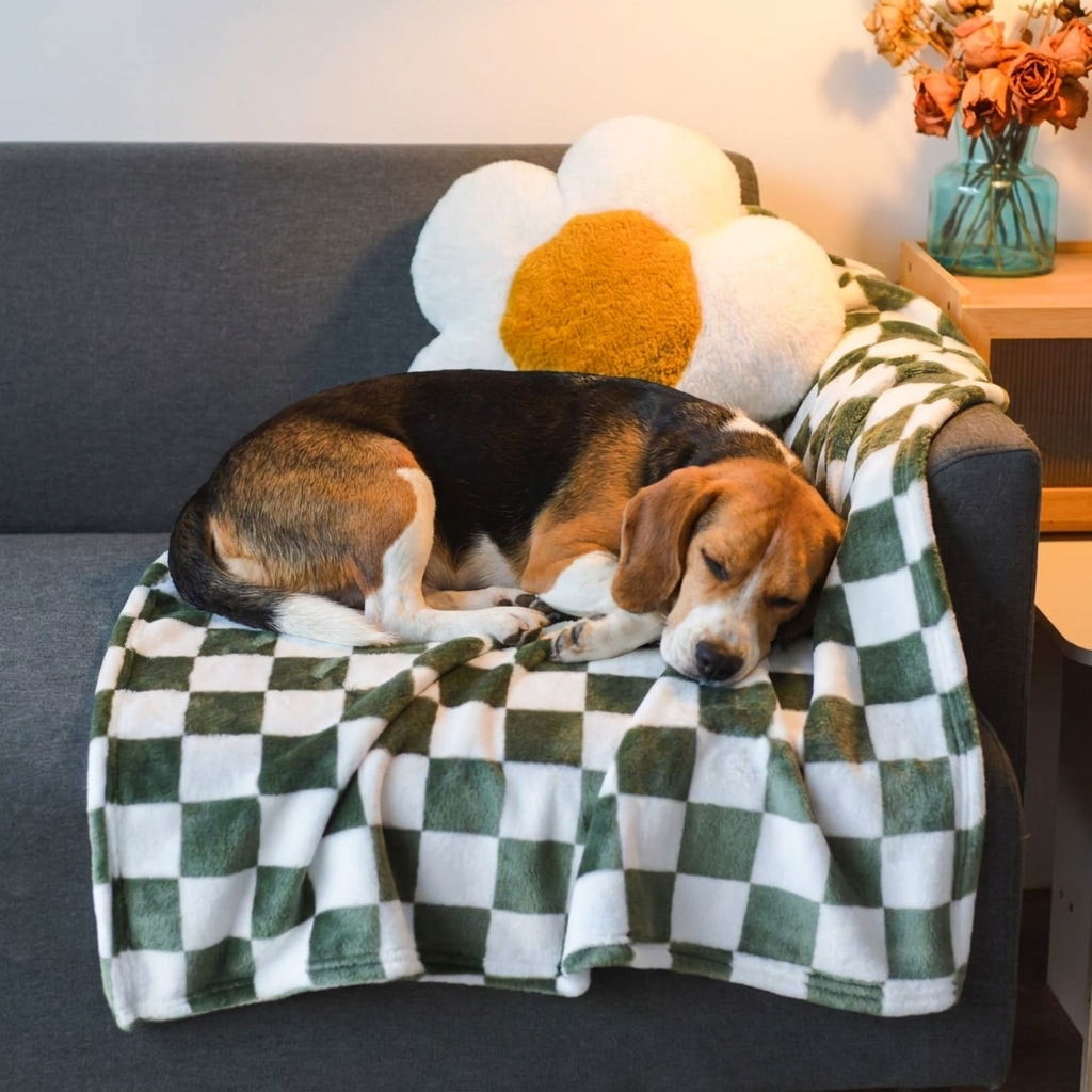 Beagle on a Meadow green chequered flannel dog blanket
