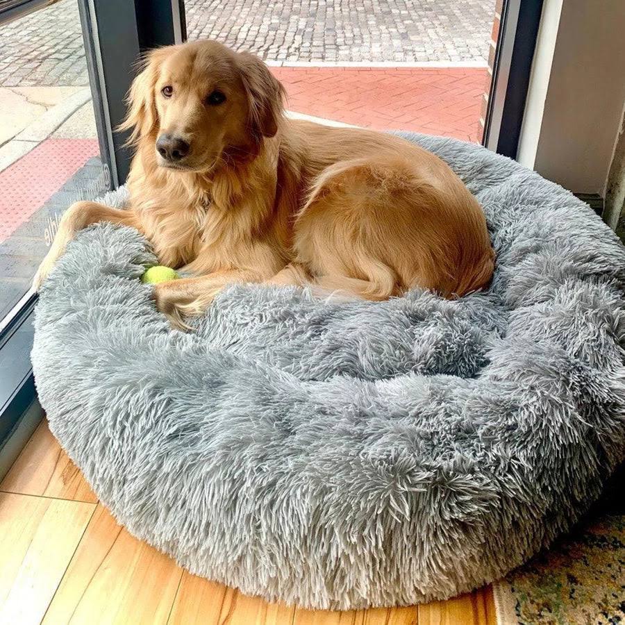 Light grey Nuzzinel Snooze calming donut dog bed with a golden retriever
