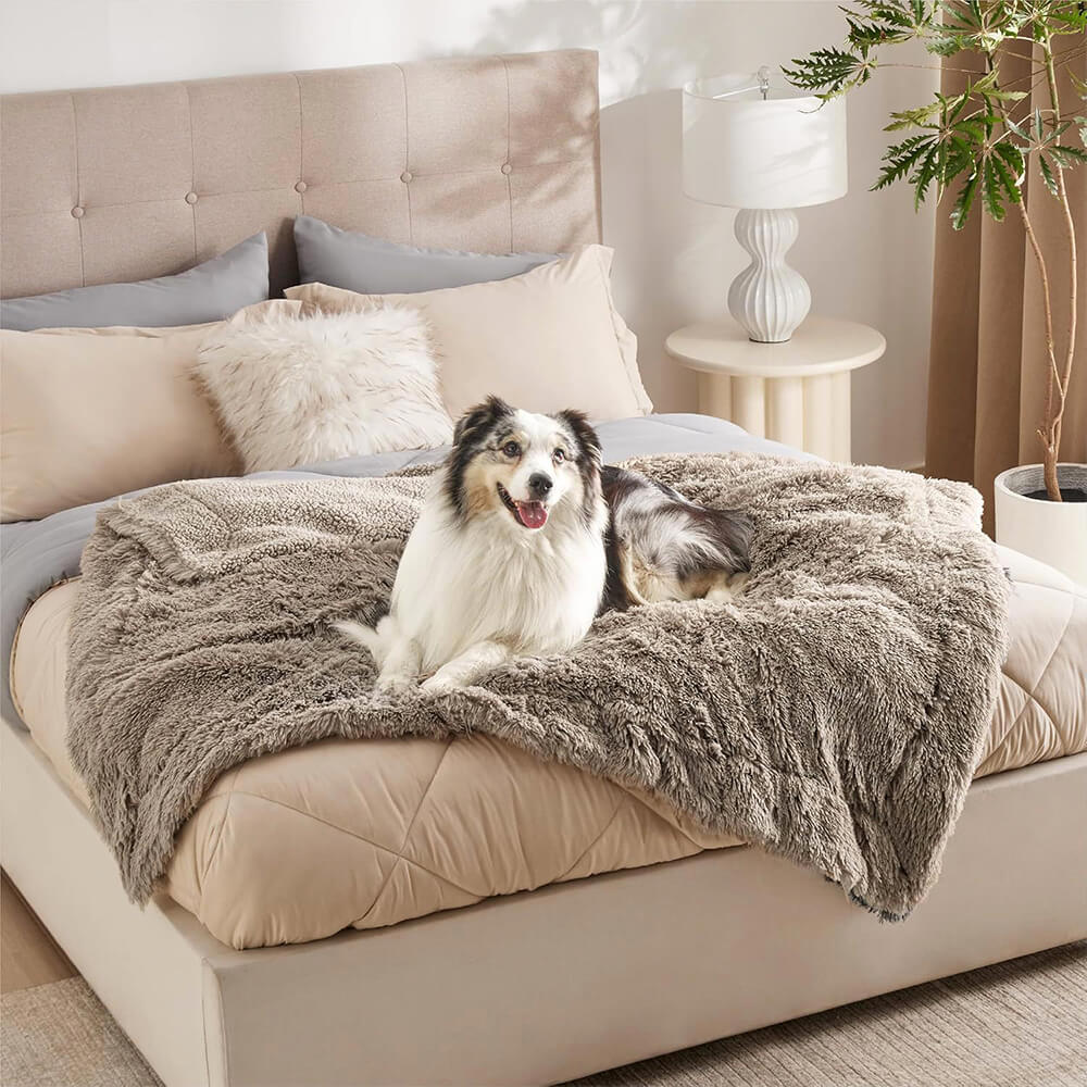 Camel plush waterproof dog blanket