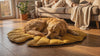 Fern Ginkgo Yellow leaf dog mat with a Golden Retriever resting