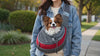 Woman walking hands-free with her dog in the Ranger dog sling carrier