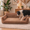 Border collie climbing into the Snooze orthopedic dog sofa bed and settling down to rest