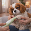 Gently grooming a calm dog's paw with the Pixie LED dog trimmer