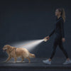Owner walking a dog at dusk with the glowing Halo LED retractable leash