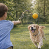 Golden retriever running with the Romp yellow EVA ball