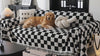 Sloane black checkerboard fringe throw with a Golden Retriever on a sofa