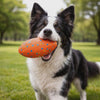 Border collie running across the grass carrying the orange Blitz Rugged Dog Football