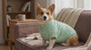 Corgi in a mint green marled knit turtleneck dog sweater relaxing on a couch