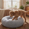 Dog settling down to nap in the grey Cloud calming donut dog bed