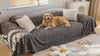 Golden Retriever relaxing on the gray Hearth fleece sofa cover