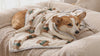 Clover Soft Flannel Dog Blanket — Corgi wrapped in cream teddy-bear blanket